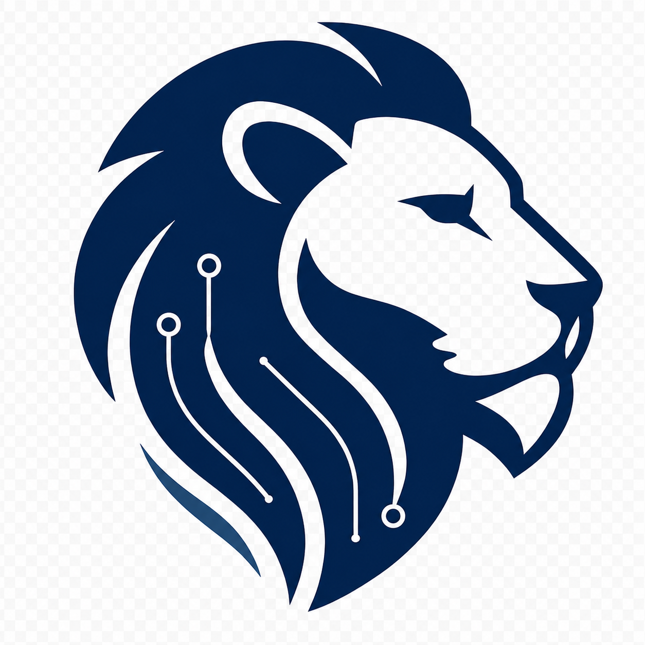 Leon Digital Solutions Inc.